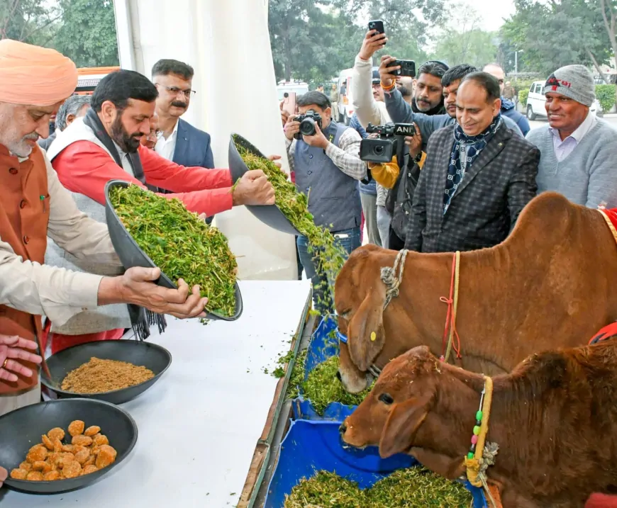 CM सैनी ने गौशालाओं के लिए 216 करोड़ और चारे के लिए दी 270 करोड़ मंजूर