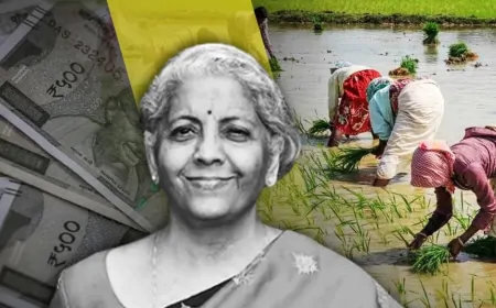 किसानों को वित्त मंत्री ने दी सौगात, किसान क्रेडिट कार्ड की लिमिट हुई इतनी