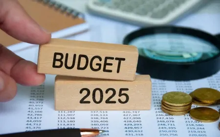 बजट से पूरी होगी हर वर्ग की उम्मीद, चार्टेड अकाउंट ने बताई बजट की बारीकियां