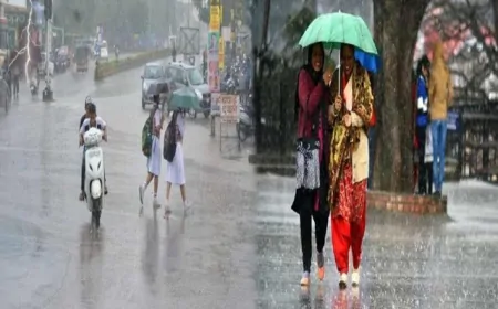 हरियाणा में 3 और 4 फरवरी को होगी बारिश! जानिए किस शहर में बरसेंगे बादल ?