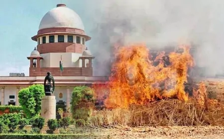दिल्ली-NCR प्रदूषण मामला: SC ने पराली प्रबंधन पर बैठक के दिए निर्देश