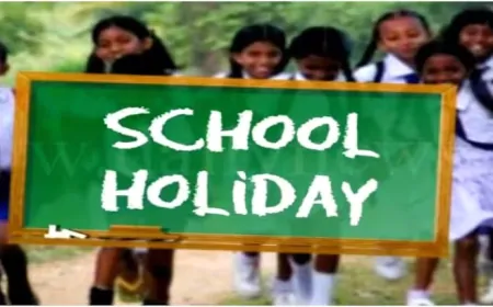क्या दिल्ली चुनाव के दिन स्कूल रहेंगे बंद, छुट्टी है या नहीं?