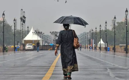 दिल्ली के कुछ इलाकों में हुई हल्की बारिश, अगले 5 दिनों तक कैसा रहेगा मौसम?