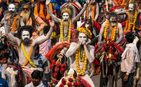 महा शिवरात्रि 2025: महाकुंभ से लौटे नागा साधु, अब ये होगा अगला ठिकाना