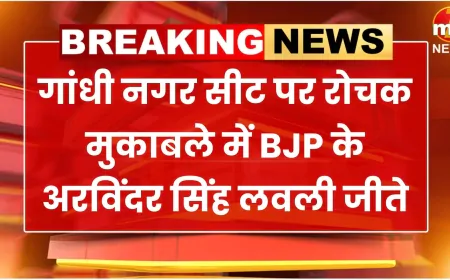 Delhi Election: गांधी नगर सीट पर BJP का परचम, अरविंदर लवली की जीत