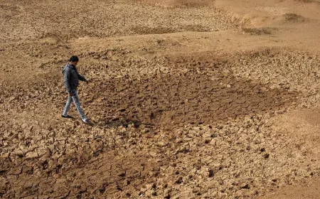 हो गई सर्दी की विदाई ! फरवरी महीने में बने सूखे के आसार !