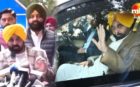 दिल्ली में केजरीवाल के साथ बैठक के बाद क्या बोले पंजाब CM भगवंत सिंह मान ?