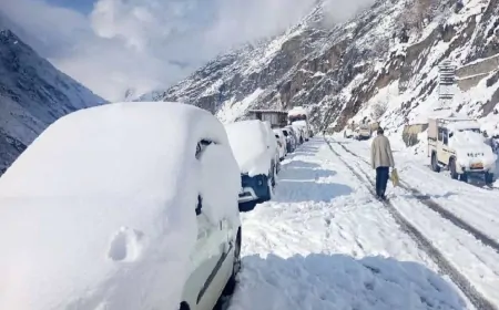 हिमाचल के ऊंचाई वाले इलाकों में ताजा बर्फबारी, बर्फ की सफेद चादर से ढका इलाका,  बर्फबारी से वाहनों की आवाजाही प्रभावित