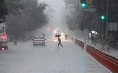 चंडीगढ़ के मौसम में होगा बदलाव! 24 तारीख को लेकर जारी हुई चेतावनी