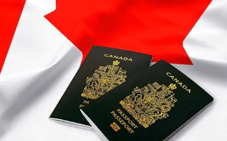 पंजाबियों को Canada ने दिया बड़ा झटका! Visa को लेकर सामने आया नया अपडेट