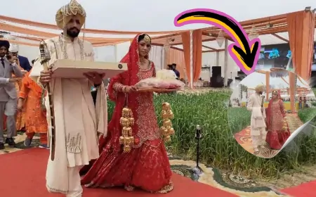 खेतों के बीच शादी... कनाडा से आई दुल्हन की बारात! जानें क्या है पूरा मामला