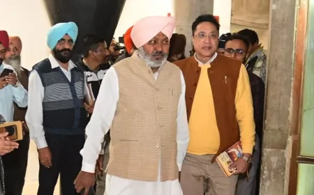 पंजाब विधानसभा का दो दिवसीय विशेष सत्र,  कार्यवाही कल तक के लिए स्थगित