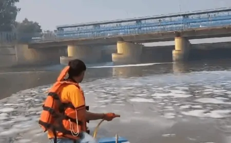 दिल्ली में बदली सरकार, सुप्रीम कोर्ट ने यमुना के जल्द साफ होने की जताई उम्मीद, जानें क्या कहा