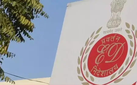 ED का पंजाब में  बड़ा Action, इमिग्रेशन कंपनियों के  खिलाफ कसा शिकंजा