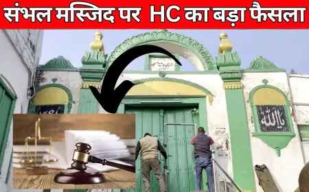 संभल की शाही जामा मस्जिद पर इलाहाबाद हाईकोर्ट का बड़ा फैसला, रंगाई-पुताई पर रोक