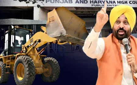नशा तस्करों पर बुलडोजर क्यों ? हाईकोर्ट में सरकार से मांगा जवाब !