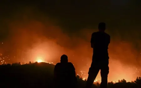 जापान के जंगल में लगी सबसे खतरनाक आग, हजारों लोगों को सुरक्षित स्थानों पर पहुंचाया गया