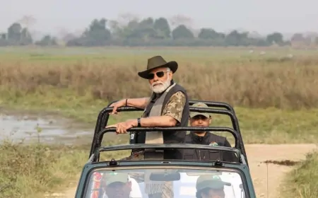 गुजरात में PM मोदी ने जंगल सफारी का आनंद लिया, गिर में एशियाई शेरों को देखा