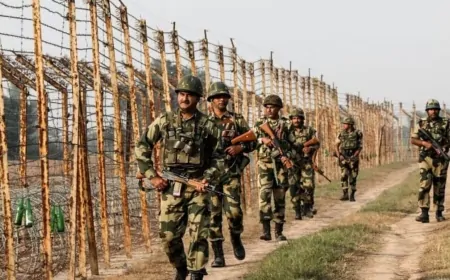 पंजाब में पाकिस्तानी घुसपैठिया ढेर, BSF ने की कार्रवाई