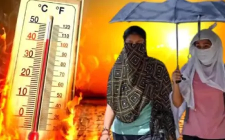 इस बार की गर्मी तोड़ देगी सारे रिकॉर्ड, जानें क्या है मौसम विभाग की चेतावनी