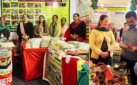 Mandi: अंतरराष्ट्रीय शिवरात्री मेले में प्राकृतिक व पारंपरिक उत्पादों का स्वाद