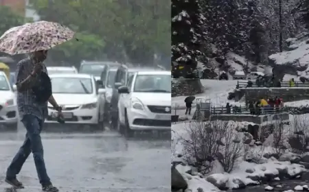 दिल्ली-NCR में ठंडी हवाओं से कांपे लोग, जानें इन राज्यों का भी हाल