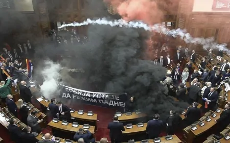 पार्लियामेंट में बवाल, सांसद ने फेंका स्मोक ग्रेनेड और फिर...