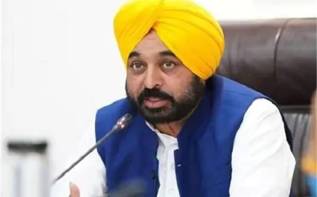 पंजाब के युवाओं के लिए खुशखबरी, CM मान ने किया ये बड़ा ऐलान