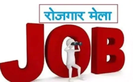 हमीरपुर में 10 मार्च को लगेगा मिनी रोजगार मेला, पांच कंपनियां लेंगी युवाओं के साक्षात्कार