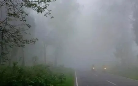 पंजाब में मौसम ने मारी पलटी, जानें Weather Update 