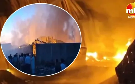 वलसाड में आग का कहर! 15 कबाड़ गोदाम जलकर राख, जानें कैसे लगी आग?