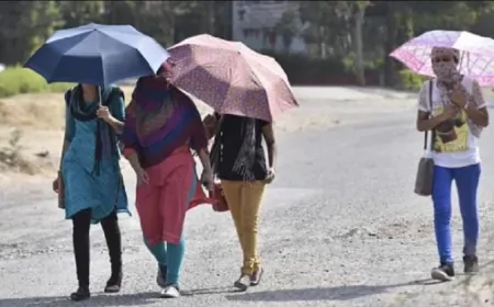 Weather News: दिल्ली, यूपी समेत कई राज्यों में बढ़ेगा तापमान, 10 से 13 मार्च के बीच यूपी के बारिश के आसार  