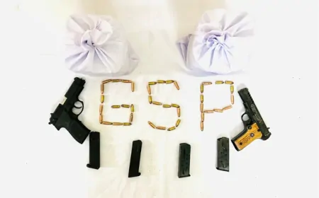 पुलिस का बड़ा Action, नशे और हथियारों की बड़ी खेप को बरामद