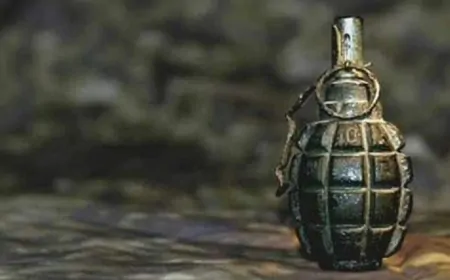 जालंधर में ग्रेनेड हमला, पाकिस्तानी के इस डॉन ने ली जिम्मेदारी