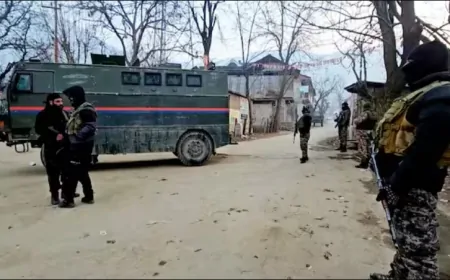 जम्मू-कश्मीर के राजौरी में ग्रेनेड अटैक, सुरक्षाबलों ने घेरा इलाका