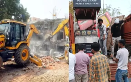 दिल्ली के इस इलाके में चला MCD का बुलडोजर, 10 KM तक के इलाके को कराया अतिक्रमण मुक्त