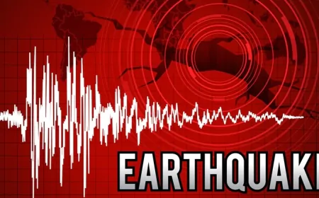 न्यूजीलैंड में पिछले 24 घंटों में 8 बार हिली धरती, लोगों में डर का माहौल 