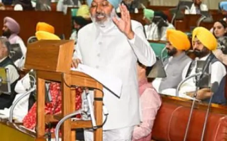 बजट 2025-26 में बदलते पंजाब की छवि- वित्त मंत्री 