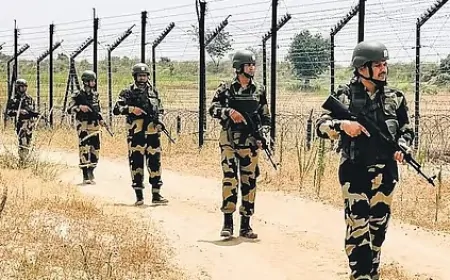 पंजाब में नशा रोकेंगे पांच हजार होमगार्ड, BSF के साथ मिलकर बॉर्डर पर संभालेंगे मोर्चा 
