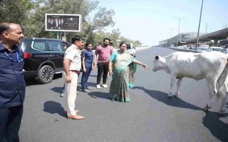 आवारा पशुओं ने रोका दिल्ली CM रेखा गुप्ता का काफिला 