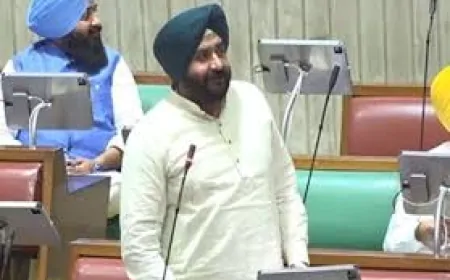 पंजाब विधानसभा में गूंजा JE को पक्का करने का मुद्दा, जानें मामला