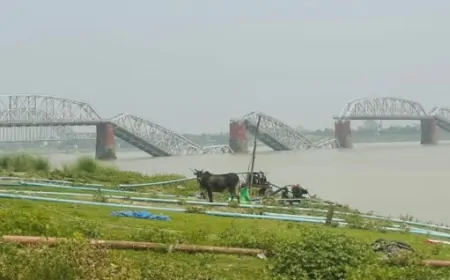 विनाशकारी भूकंप में ढह गया 91 वर्ष पुराना म्यांमार की शान AVA ब्रिज