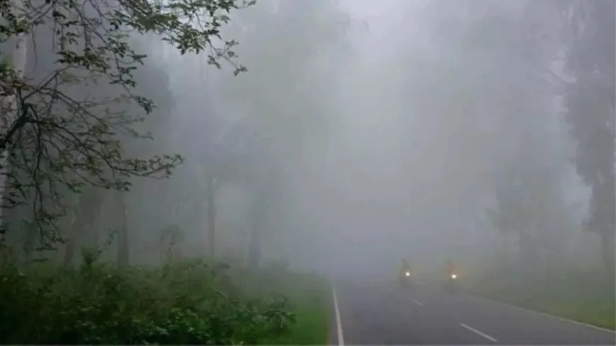 पंजाब में मौसम ने मारी पलटी, जानें Weather Update 