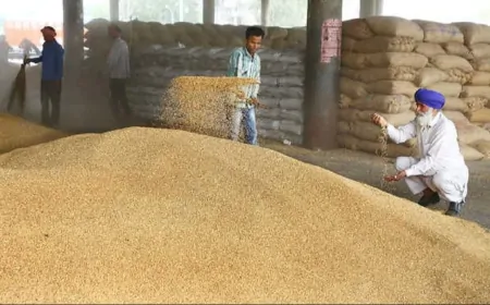 अनाज मंडियों में गेहूं की खरीद शुरू, मंडियों में पुख्ता तैयारी 