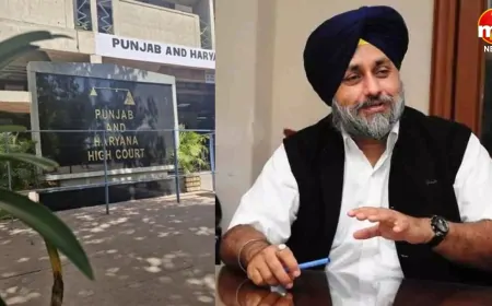 सुखबीर बादल की याचिका पर हाईकोर्ट ने सरकार को भेजा नोटिस