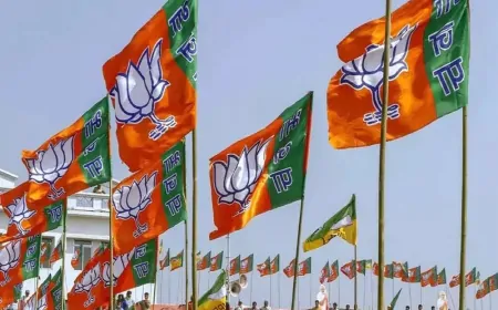 6 से 12 अप्रैल तक BJP मनाएगी स्थापना दिवस, कई कार्यक्रमों का होगा आयोजन