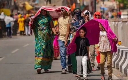 दिल्ली में हीटवेव ने दी दस्तक, लू की चेतावनी जारी