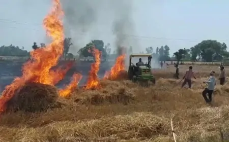 चलती गाड़ी में लगी आग, आग फैलने से सड़क किनारे गेहूं की फसल बर्बाद 