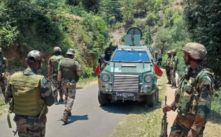 घाटी में सुरक्षाबलों का ‘ऑपरेशन ऑल आउट’, 2-3 आतंकियों के छिपे होने की आशंका