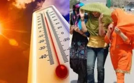 दिल्ली में फिर गर्मी करेगी टॉर्चर, लू चलने का येलो अलर्ट जारी